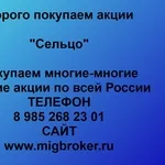 Покупаем акции ОАО Сельцо и любые другие акции по всей России