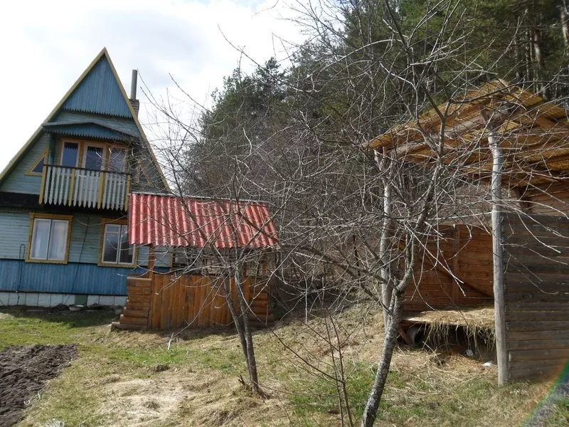 Продаетя дача в Беларуси на одном из живописнейших озер Браславщины – 