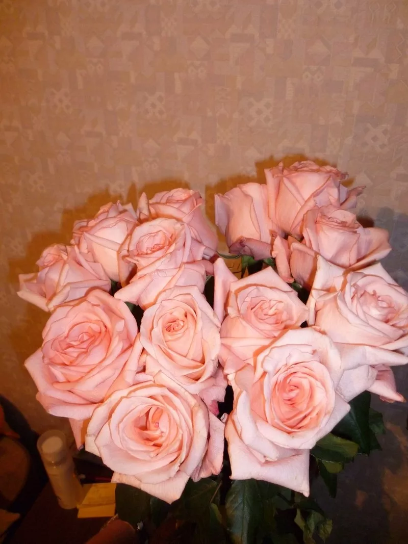 Розы и оригинальные букеты с бесплатной доставкой. 3