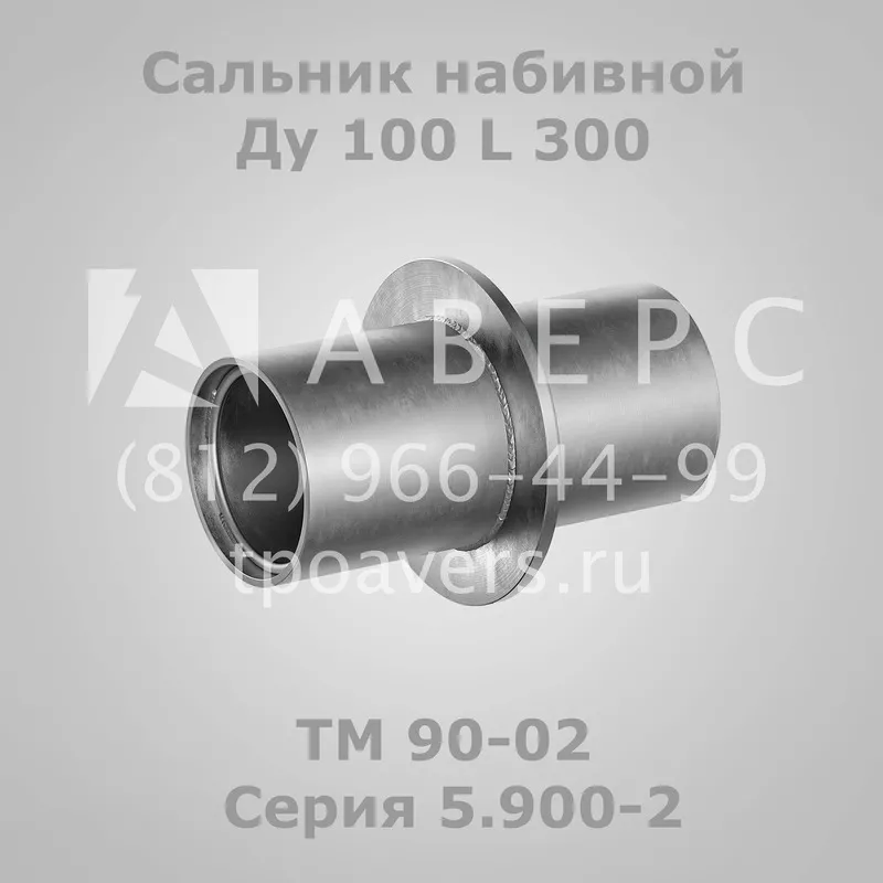 Сальник набивной Ду 100 L 200 ТМ 89-02 Серия 5.900-2 2